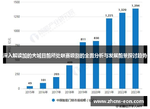 深入解读加的夫城目前所处联赛级别的全面分析与发展前景探讨趋势